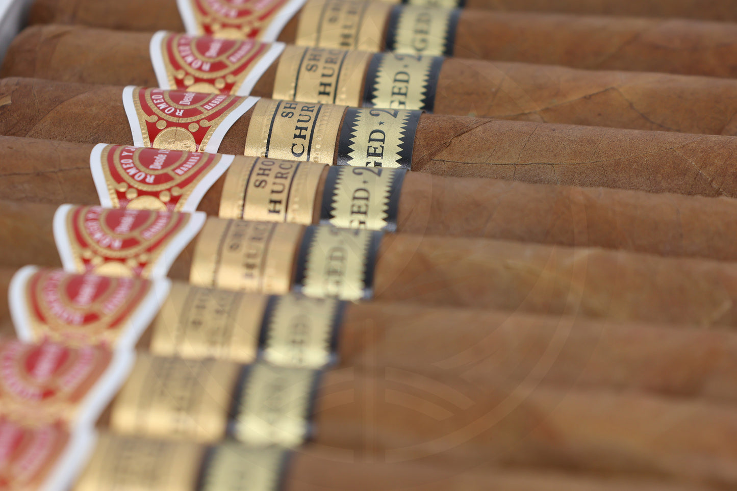 ROMEO Y JULIETA SHORT CHURCHILLS AGED 2018