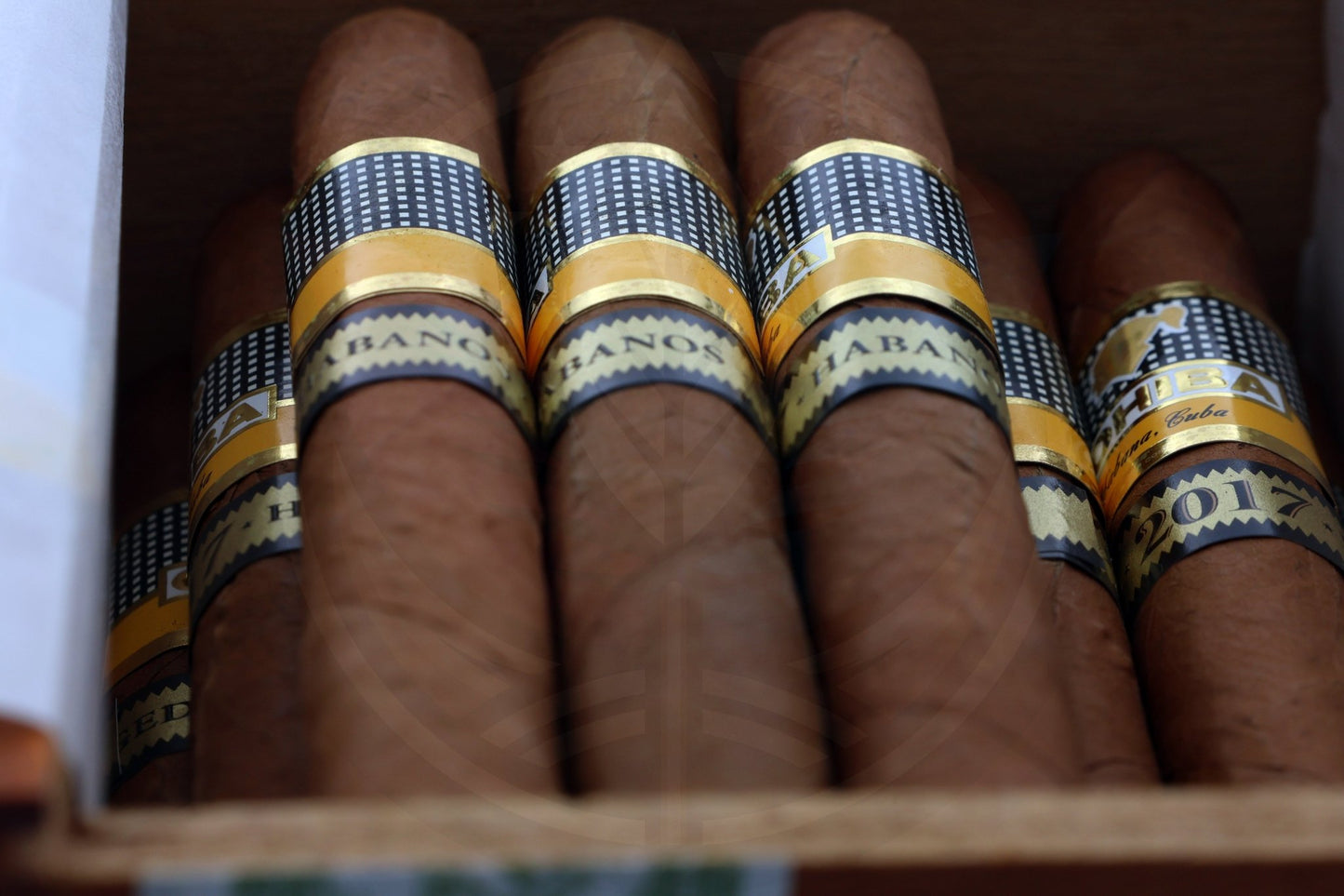 COHIBA SIGLO II AGED 2017