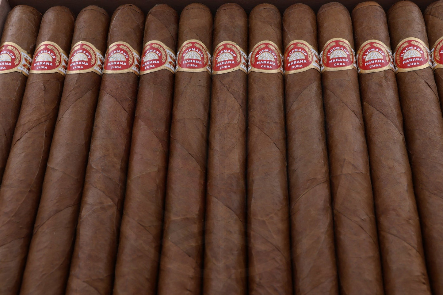 H. UPMANN SIR WINSTON