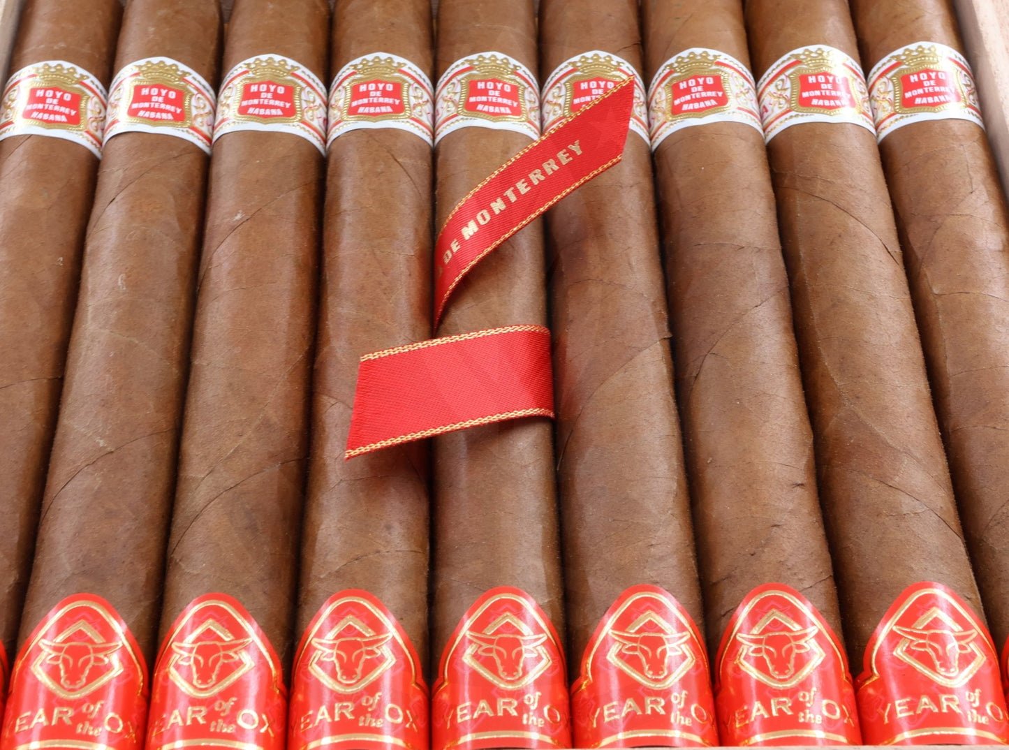 HOYO DE MONTERREY PRIMAVERAS YEAR OF THE OX 2020 CHINESE YEAR SERIES