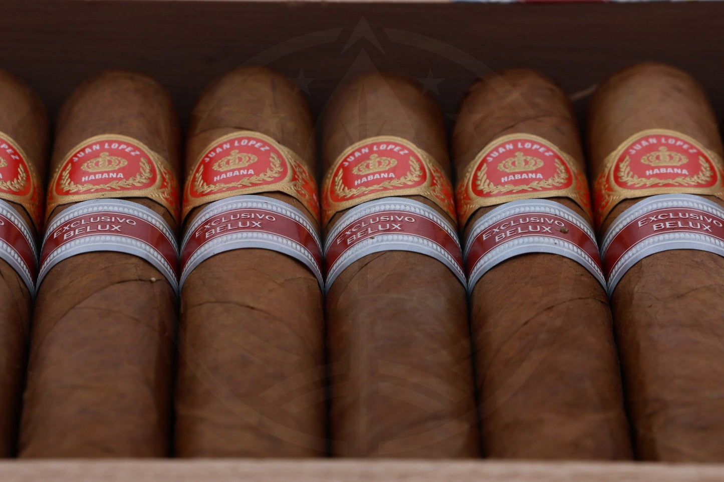 JUAN LOPEZ DRAGONES REGIONAL EDITION BELUX 2021