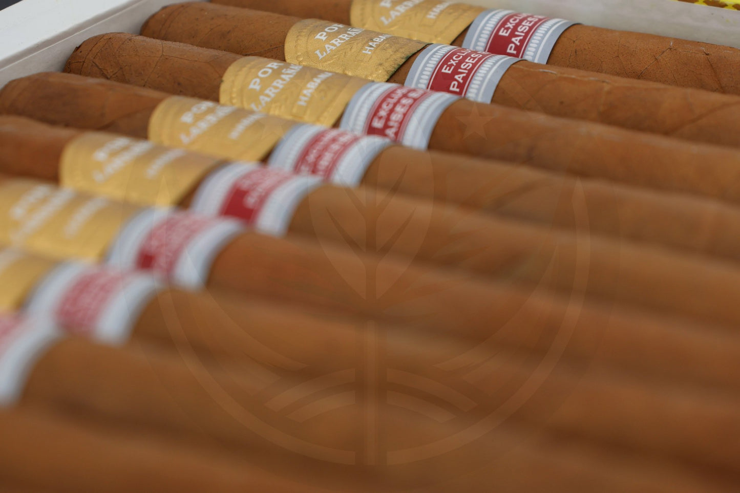 POR LARRANAGA GRAN ROBUSTO REGIONAL EDITION PAIS BAJOS 2017