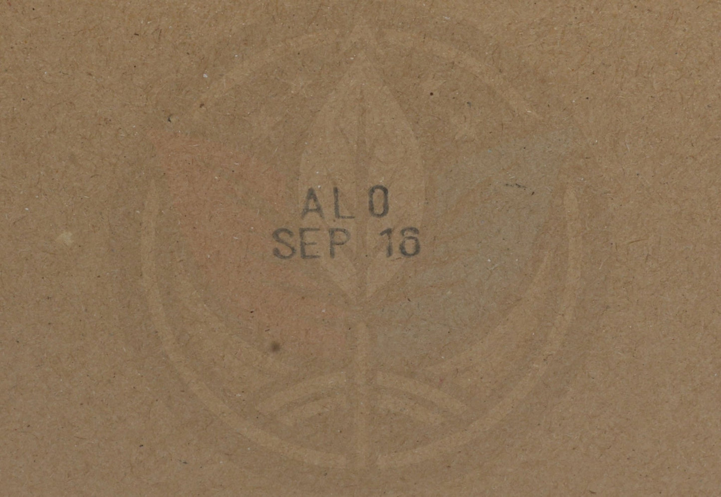RAMON ALLONES ROBUSTO XXL REGIONAL EDITION BELUX 2015