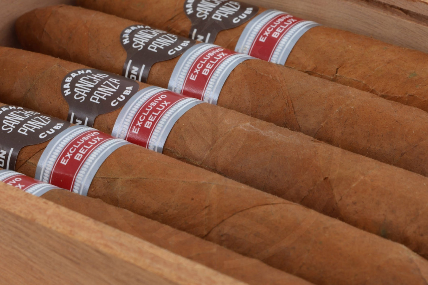 SANCHO PANZA GRAN QUIXOTE REGIONAL EDITION BELUX 2017