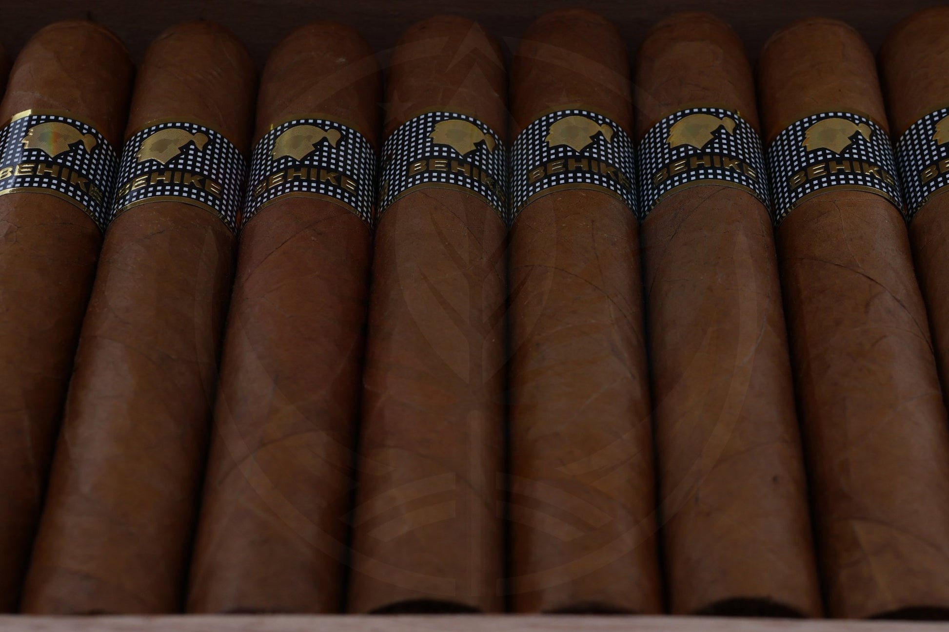 COHIBA BEHIKE 54 /10 - VITOLAROMA#