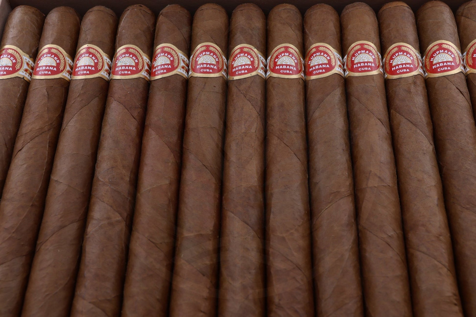 H. UPMANN SIR WINSTON 
