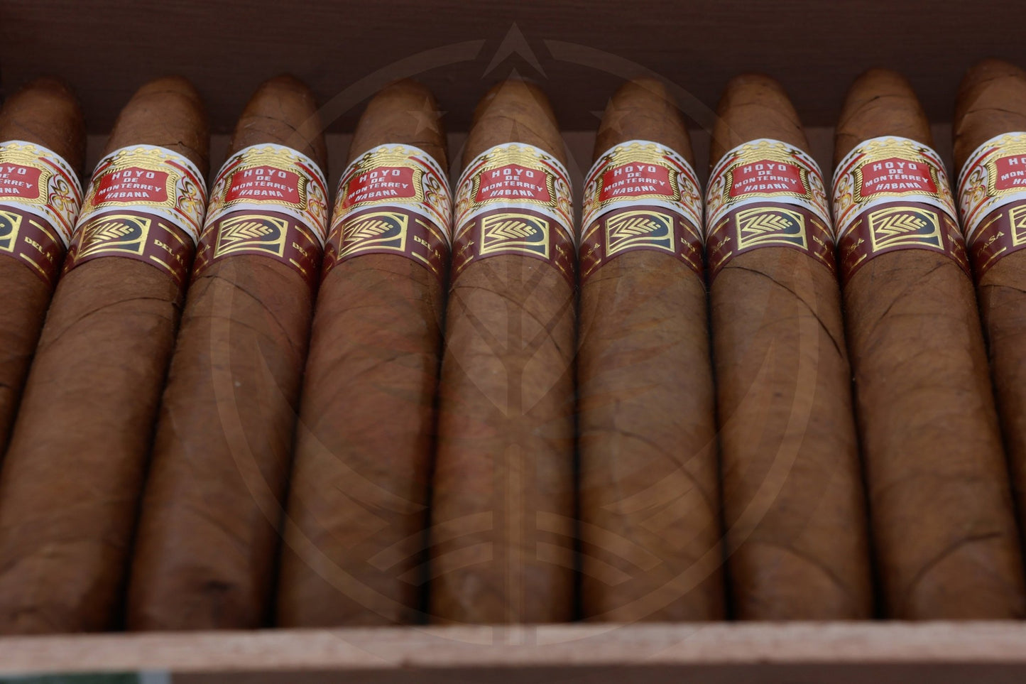 HOYO DE MONTERREY ELEGANTES  LCDH LA CASA DEL HABANO