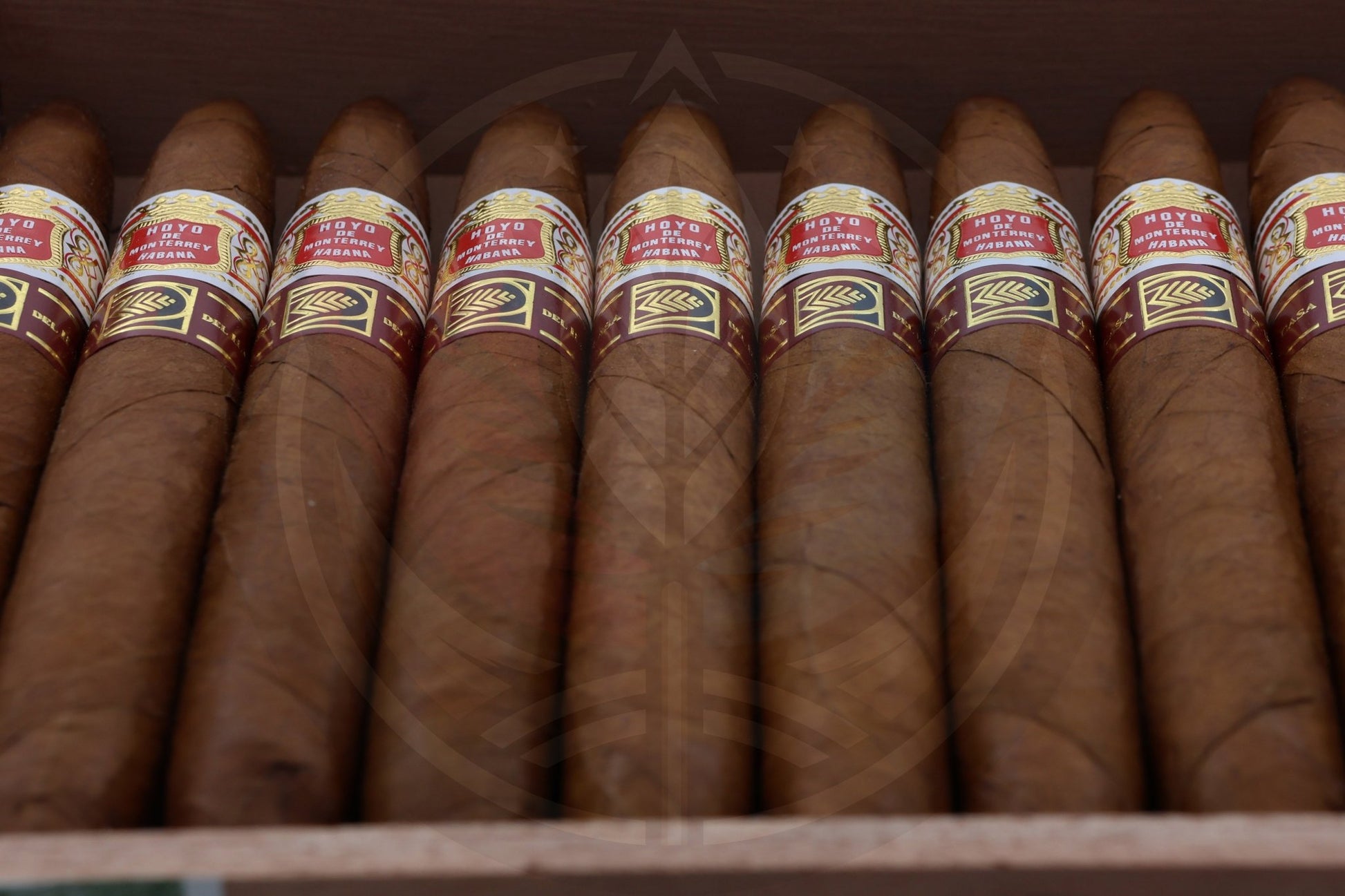 HOYO DE MONTERREY ELEGANTES  LCDH LA CASA DEL HABANO