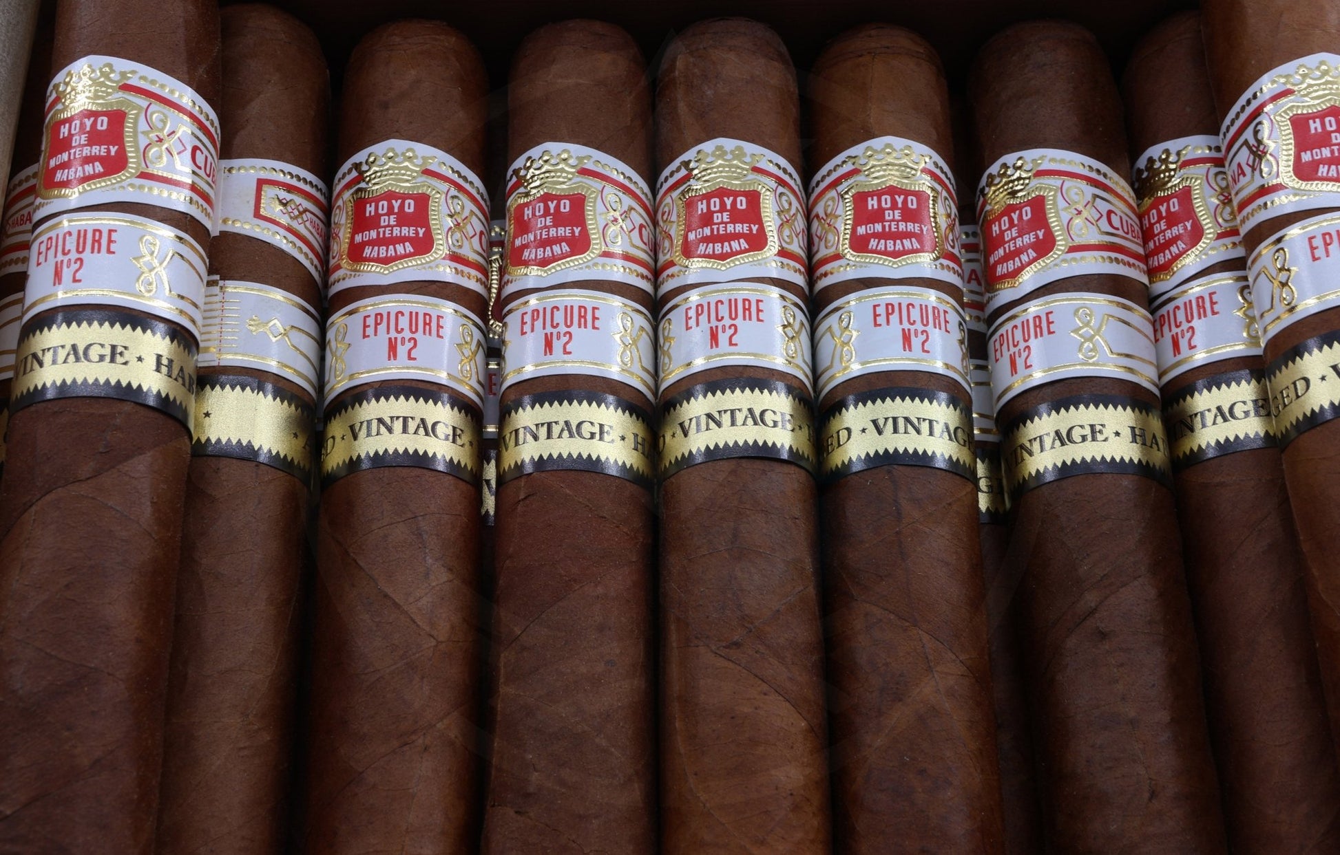HOYO DE MONTERREY HOYO EPICURE N 2 0 AGED 2018