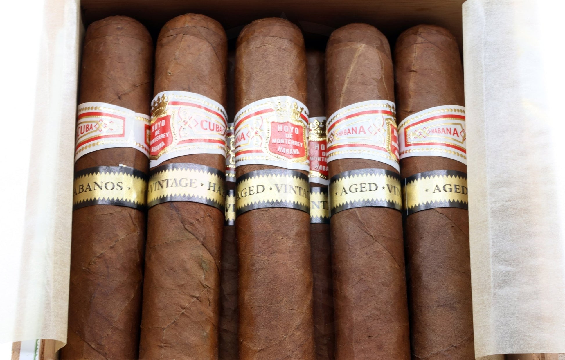 HOYO DE MONTERREY PETIT ROBUSTO  AGED 2014