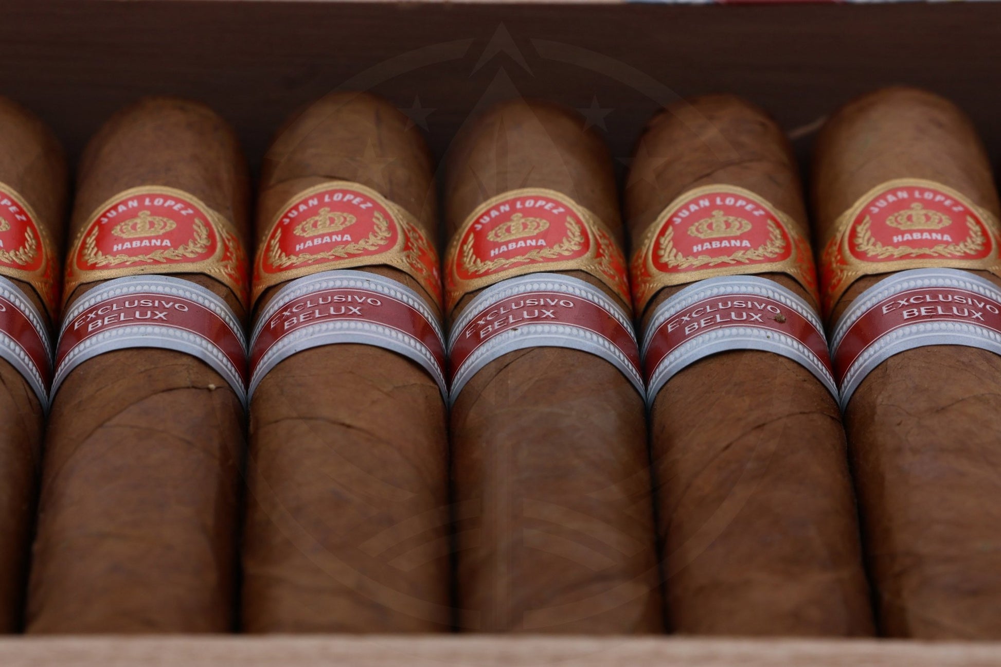 JUAN LOPEZ DRAGONES  REGIONAL EDITION BELUX 2021