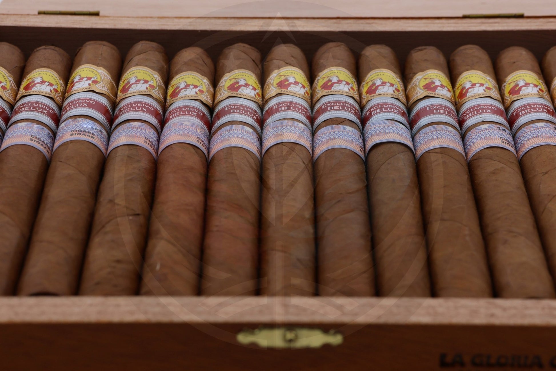 LA GLORIA CUBANA MEDAILLE D'OR ESPECIAL  REGIONAL EDITION BELUX 2020