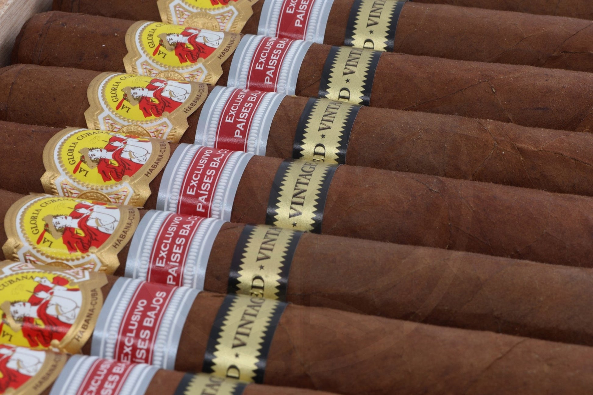 LA GLORIA CUBANA PLATINUM EDITION  REGIONAL EDITION PAIS BAJOS 2016