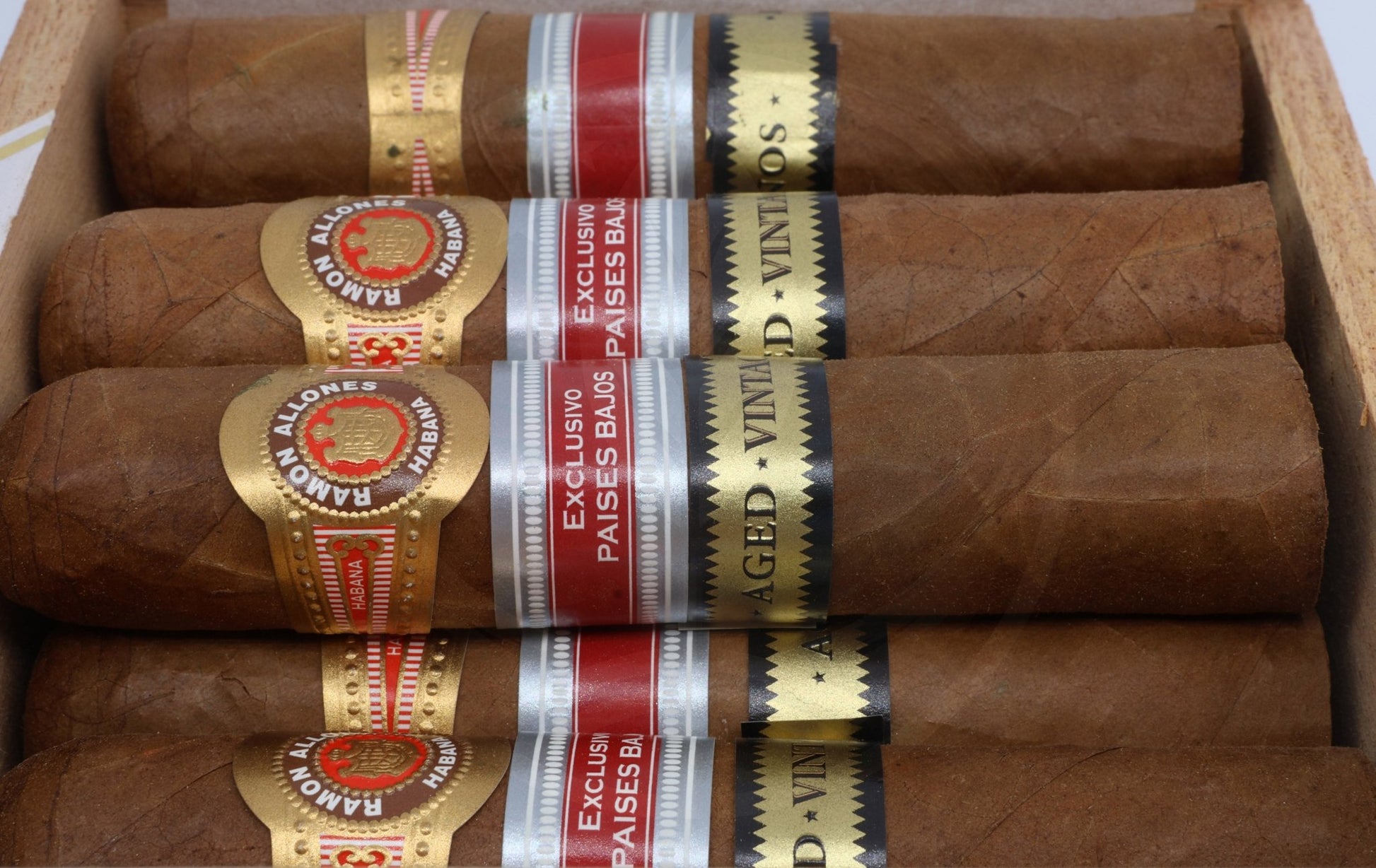 RAMON ALLONES ROBUSTO CORTO REGIONAL EDITION PAIS BAJOS 2013