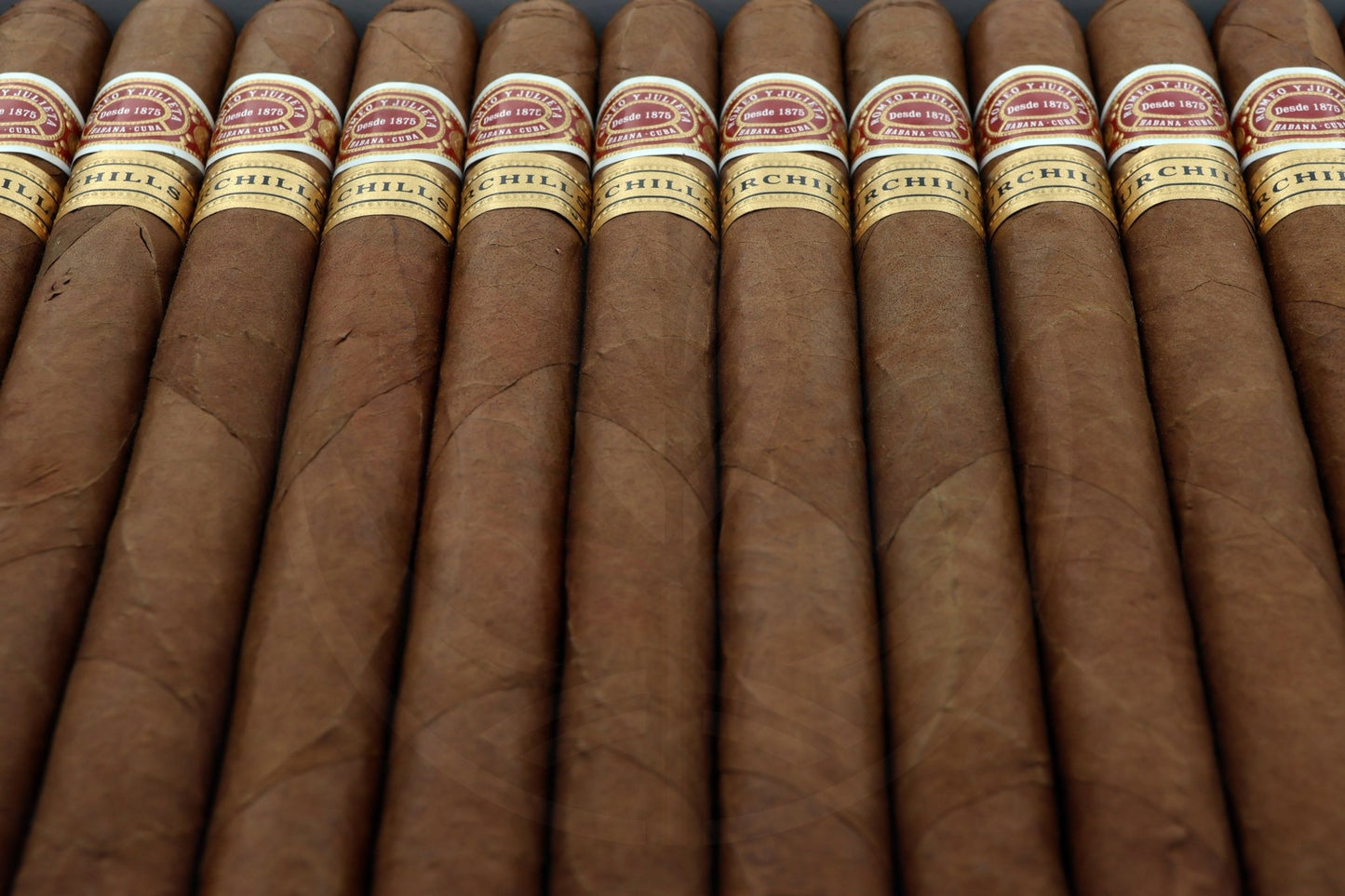 ROMEO Y JULIETA CHURCHILL
