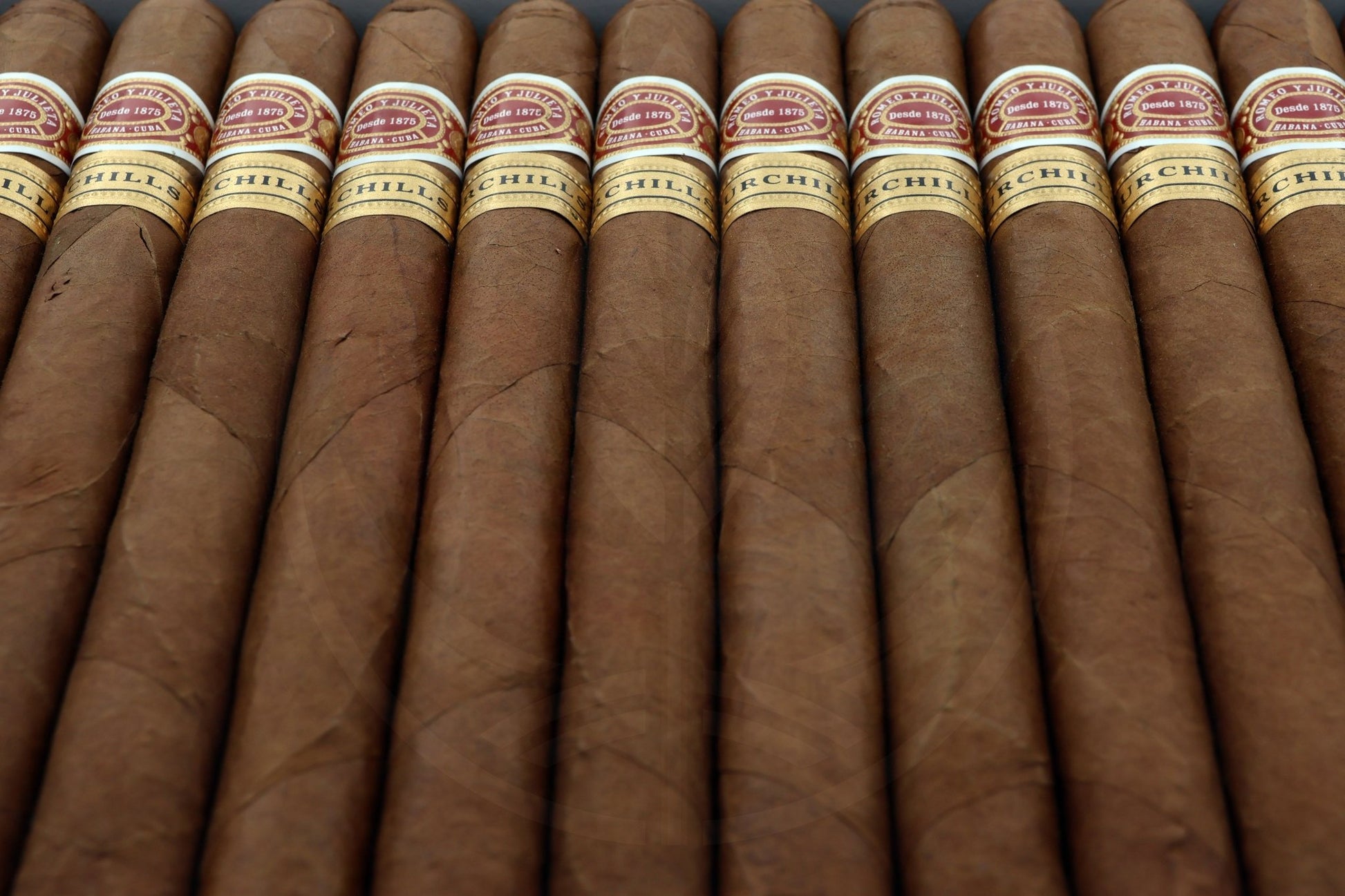 ROMEO Y JULIETA CHURCHILL