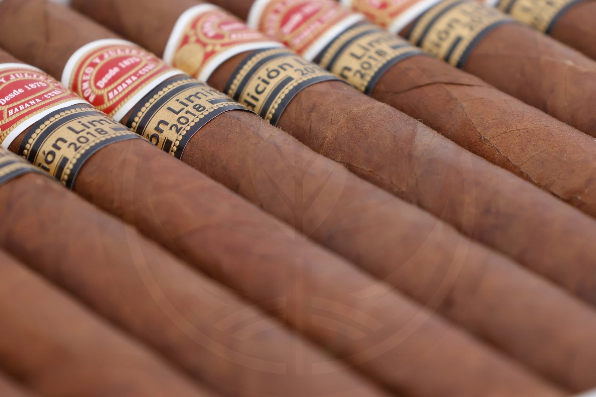 ROMEO Y JULIETA TACOS LIMITED EDITION 2018